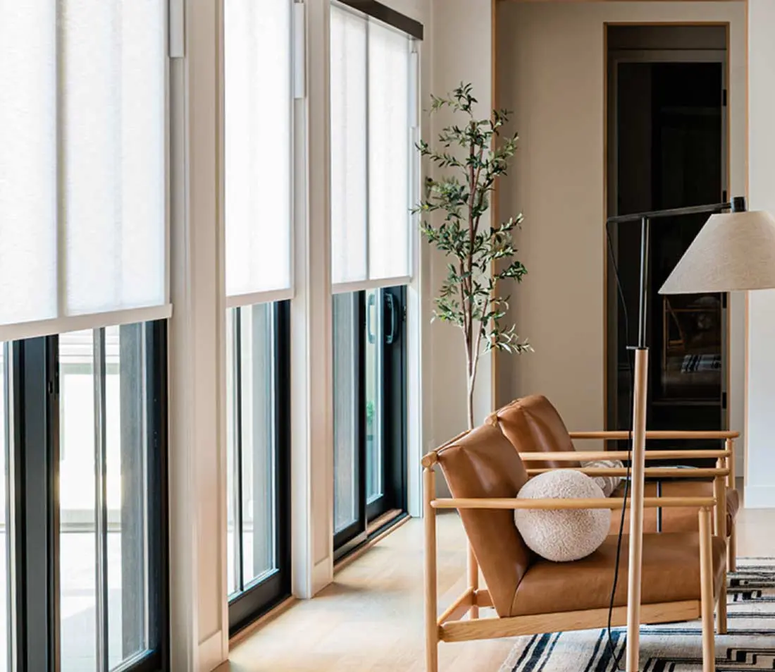 Window Living Room